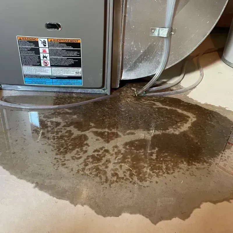 Appliance Leak Cleanup in Boulder, CO